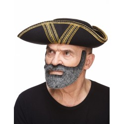 Mustache and beard, sald and pepper