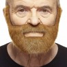 Nobleman mustache and beard, chestnut