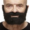 Mustache and beard, black