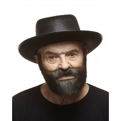 Mustache and beard, brown with gray