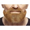 Mustache and beard, chestnut