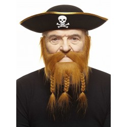 Mustache and beard, ginger