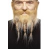 Mustache and beard, blond