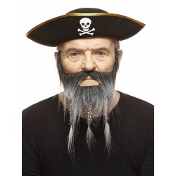 Mustache and beard, sald and pepper