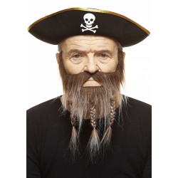 Mustache and beard, brown and gray