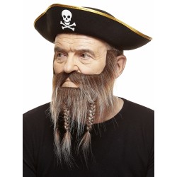 Mustache and beard, brown and gray