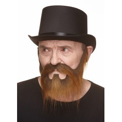 Mustache and beard, brown