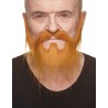 Mustache and beard, ginger