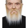 Mustache and beard, blond