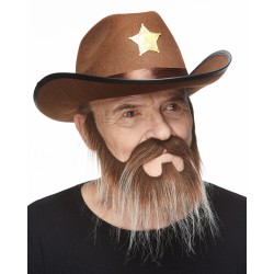 Mustache and beard, brown and gray 