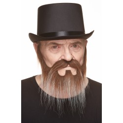 Mustache and beard, brown and gray 