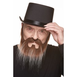 Mustache and beard, brown and gray 