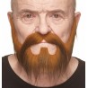 Mustache and beard, dark ginger