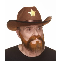 Mustache and beard, dark ginger