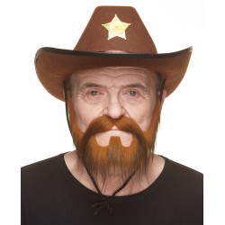 Mustache and beard, dark ginger