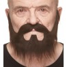 Mustache and beard, chestnut