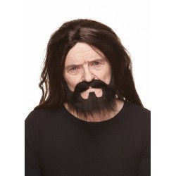 Mustache and beard, chestnut