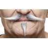 Gentleman mustache and beard, gray and white