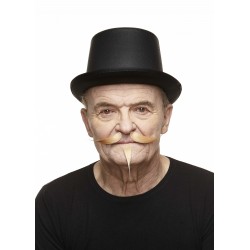 Mustache and beard, blond