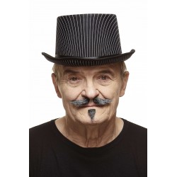 Mustache and beard, sald and pepper