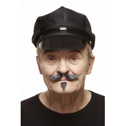 Mustache and beard, sald and pepper