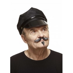 Mustache and beard, sald and pepper