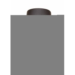 Mustache and beard, chestnut