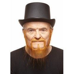 Mustache and beard, ginger