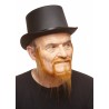 Mustache and beard, ginger