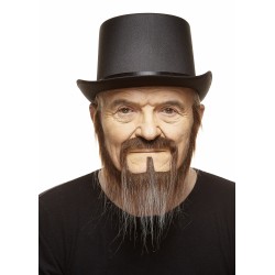 Mustache and beard, brown and gray