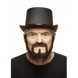 Mustache and beard, chestnut