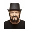 Mustache and beard, chestnut