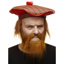 Mustache and beard, ginger