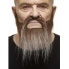Mustache and beard, brown and gray