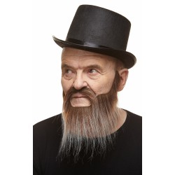 Mustache and beard, brown and gray