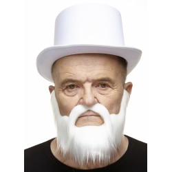 Mustache and beard, white