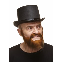 Mustache and beard, ginger