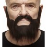 Mustache and beard, chestnut