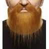 Mustache and beard, ginger