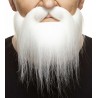 Mustache and beard, white