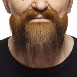 Mustache and beard, ginger