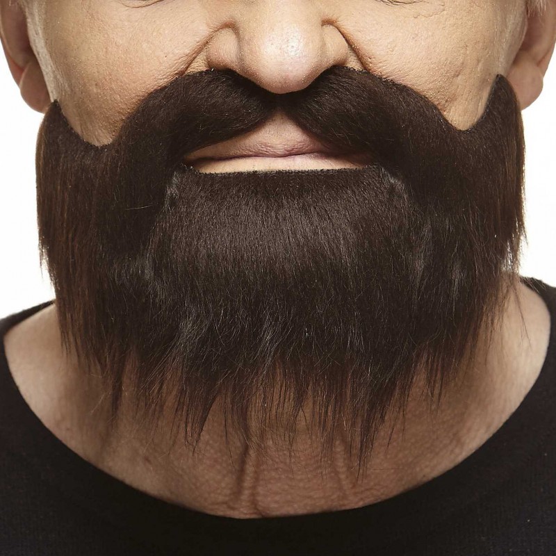 Mustache and beard, chestnut