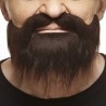 Mustache and beard, chestnut