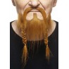 Mustache and beard, ginger