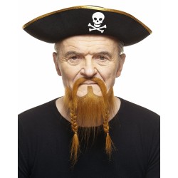 Mustache and beard, ginger