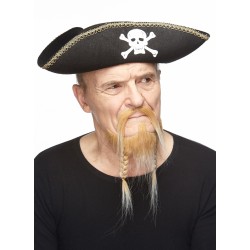 Mustache and beard, blond