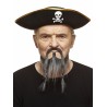 Pirate mustache and beard, salt and pepper