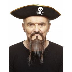 Mustache and beard, brown and gray