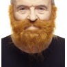 Mustache and beard, ginger