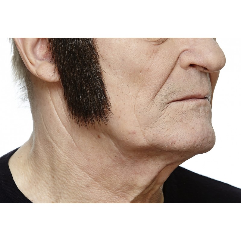 Sideburns, brown with gray